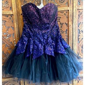Ombré Sequin and Tulle Dress